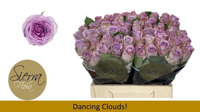 <h4>R Gr Dancing Clouds!</h4>