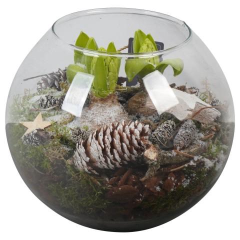 <h4>PTWH7711 Arrangement Winter Hyacint in glas vaas</h4>