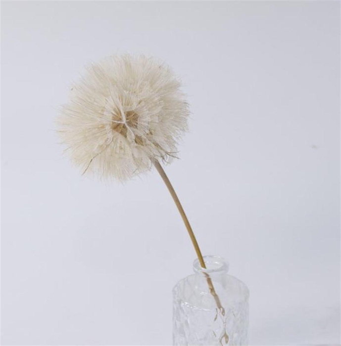 <h4>Pres Puste Bloemen</h4>