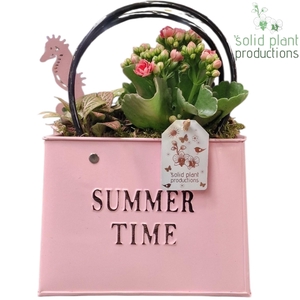 ZKE001 Pink Bag Large Summer