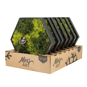 90780: Moss Art Hexagonal D38