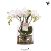 Arrangementen Kolibri H% arrangement Root white 3spike 43ROOTWHI
