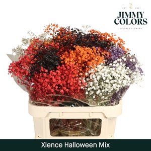 Gyps Xlence L80 Halloween mix