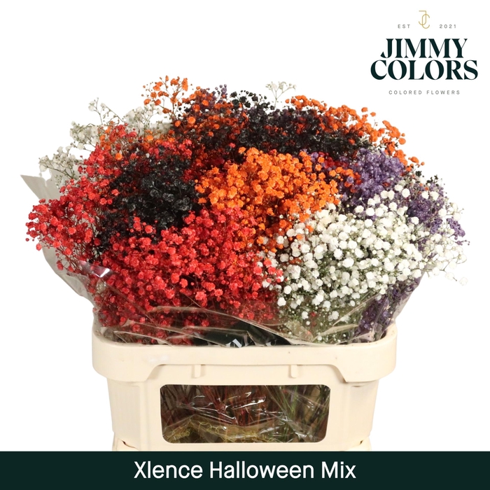 <h4>Gyps Xlence L80 Halloween mix</h4>