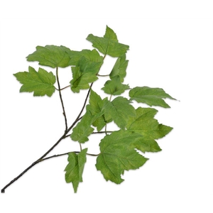 Tak 81cm blad groen