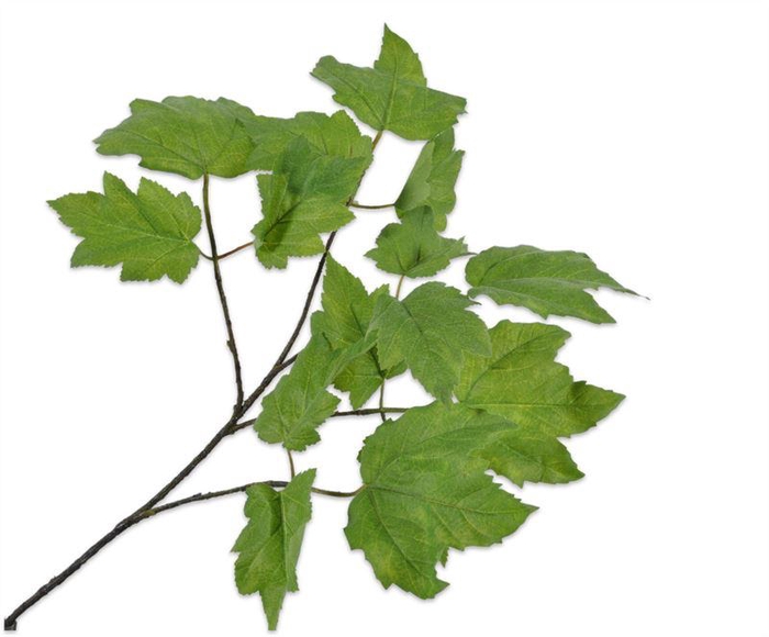 <h4>Tak 81cm blad groen</h4>