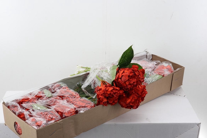 <h4>Hydr Copper Box</h4>