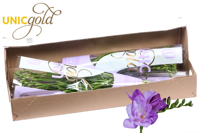 <h4>UG Barendse - Blue Bayou box</h4>