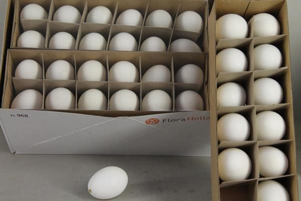 Egg Duck Natural Box(12pcs)