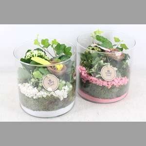 arr2 PL - Glas cilin. breed 285/5 - roze/wit