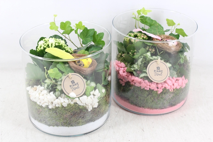 Arr2 Pl - Glas Cilin. Breed 285/5 - Roze/wit