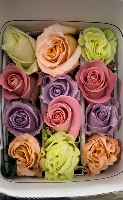 <h4>R GR PASTEL MIX</h4>