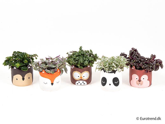 <h4>E 4652 skovdyr</h4>