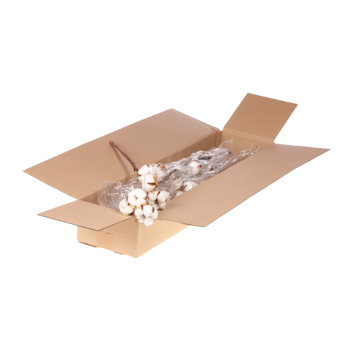 <h4>Cotton Branch 6 Heads Sb Natural</h4>