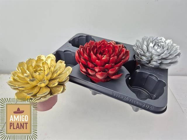 <h4>ECHEV GRANDE CINZA</h4>