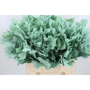 Eik Grof Frost Mint