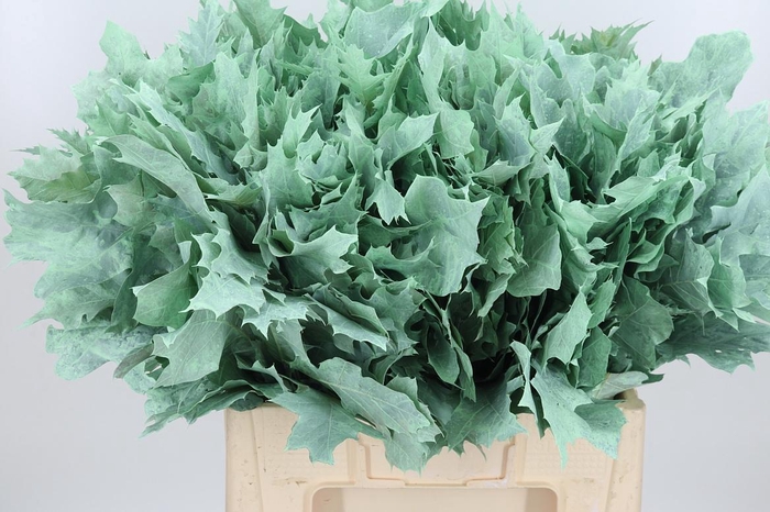 <h4>Eik Grof Frost Mint</h4>