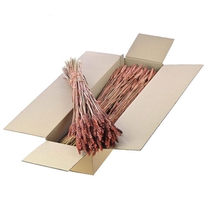 Tarwe Sb Hazelnut Brown