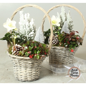 Garden baskets 24Ø 41cm