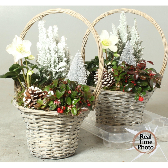 <h4>Garden baskets 24Ø 41cm</h4>