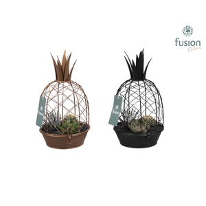Metaal ananas GOUD met arrangement cactussucculent