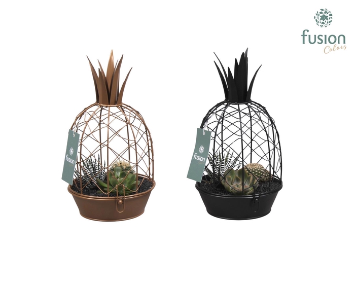 <h4>Metaal ananas GOUD met arrangement cactussucculent</h4>
