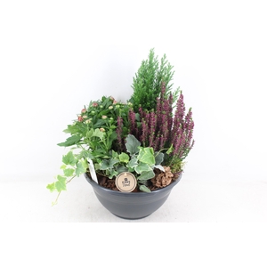 arr4 Outdoor PL - Kunstst. coupe L los