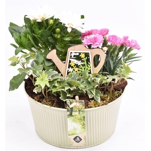 Zink schaal ribbel khaki 18cm