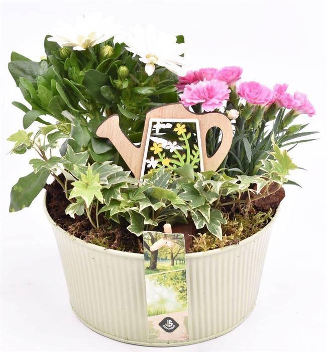 <h4>Zink schaal ribbel khaki 18cm</h4>