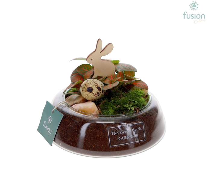 <h4>Green Bottle Christel Small Pasen met Fittonia</h4>