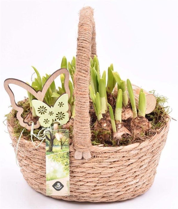 <h4>Natuur hengselmand 22x19cm</h4>