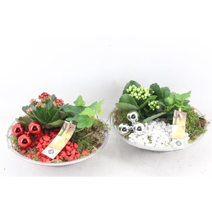 arr2 JS - Glas schaal ribbel x2