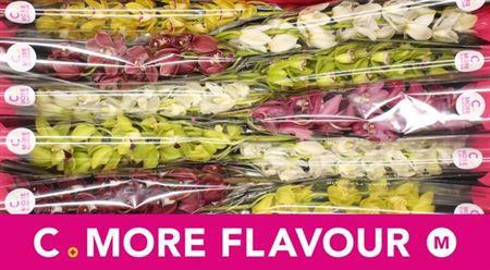 <h4>Cymb Mi Gem</h4>