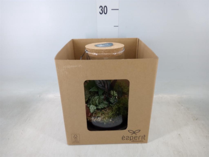 <h4>Arr. Planten H%</h4>