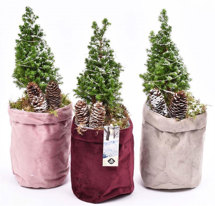 <h4>Fluweel zak 3 kl. mix 13cm met LED</h4>