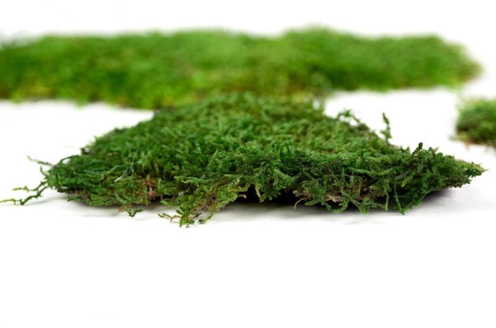 <h4>Mousse plate stabilisée 2,5kg</h4>