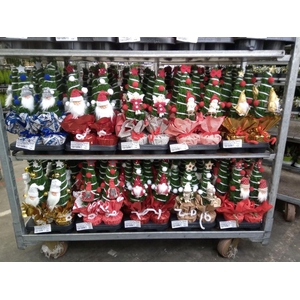 Chamaecyparis laws. 'Ellwoodii'