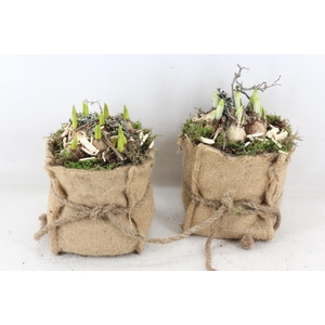 arr4 Bollenmix MB - Jute tas x8