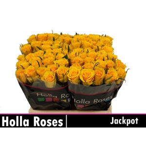 R GR JACKPOT+