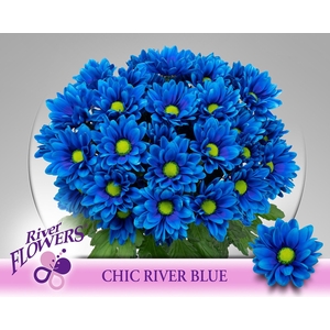Chr tr Chic paint