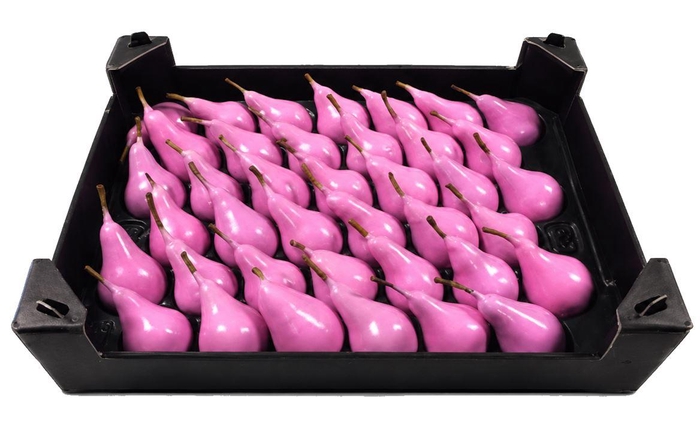<h4>Waxpeer Pinkrose</h4>