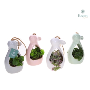 Pasen Haas keramiek 4 kleuren Small met Groen planten