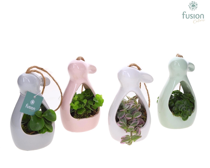 <h4>Pasen Haas keramiek 4 kleuren Small met Groen planten</h4>