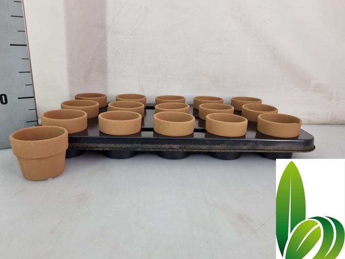 <h4>HUIS EN TUINDECO H%</h4>