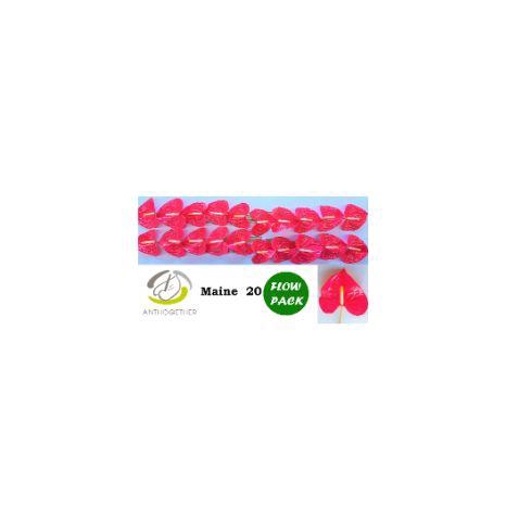 <h4>Anth A Maine 9 cm X20 Flow Pack Oosterzon</h4>