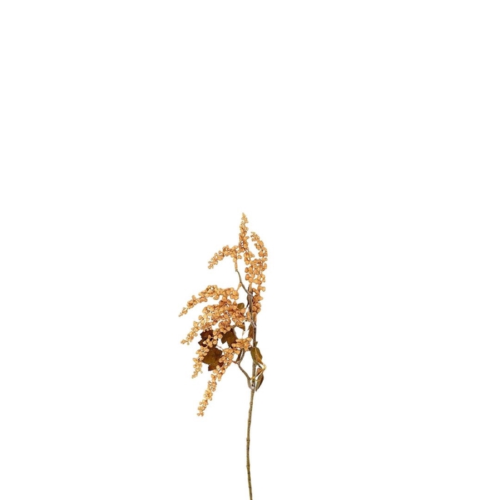 <h4>Berry Jungle 72cm</h4>