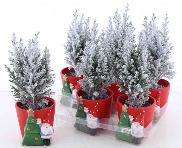 <h4>CHAM L ELLWOODII</h4>