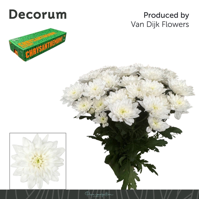 <h4>Chr T Baltica Decorum</h4>