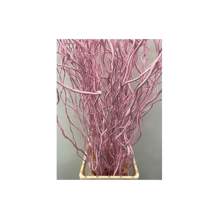 <h4>Salix 130cm Light Pink</h4>