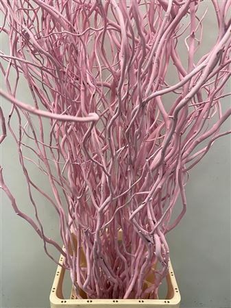 Salix 130cm Light Pink
